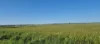 Ratio Downs, Degrussa Road, Gibson WA 6448-Image