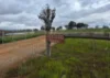 Ratio Downs, Degrussa Road, Gibson WA 6448-Image