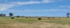 Ratio Downs, Degrussa Road, Gibson WA 6448-Image