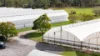 'Ricardoes Tomatoes'/221, Blackmans Point NSW 2444-Image