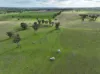 'Ridgeview'/632, Curra Creek NSW 2820-Image