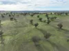 'Ridgeview'/632, Curra Creek NSW 2820-Image