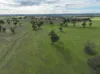 'Ridgeview'/632, Curra Creek NSW 2820-Image