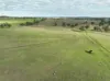 'Ridgeview'/632, Curra Creek NSW 2820-Image