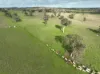 'Ridgeview'/632, Curra Creek NSW 2820-Image