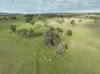 'Ridgeview'/632, Curra Creek NSW 2820-Image