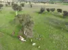 'Ridgeview'/632, Curra Creek NSW 2820-Image