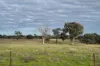 'Ridgeview'/632, Curra Creek NSW 2820-Image