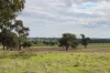 'Ridgeview'/632, Curra Creek NSW 2820-Image