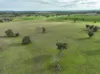 'Ridgeview'/632, Curra Creek NSW 2820-Image