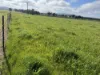 'Rocklyn' Nation Road, Burrumbuttock, NSW 2642-Image