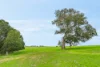 Rokewood-Skipton Road, Rokewood Junction, Vic 3351-Image