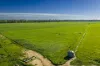 'San Diego Narromine Road, Dubbo, NSW 2830-Image