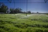 'San Diego Narromine Road, Dubbo, NSW 2830-Image