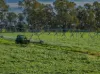 'San Diego Narromine Road, Dubbo, NSW 2830-Image