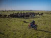 Sandy Camp Road, Quambone, NSW 2831