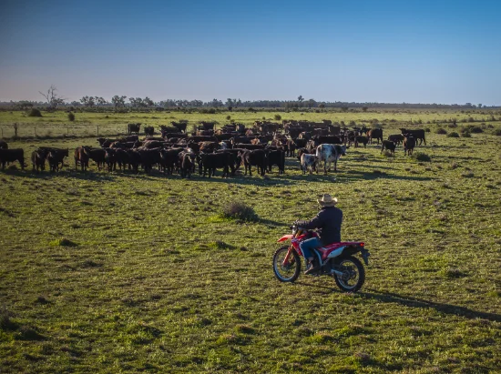 Sandy Camp Road, Quambone, NSW 2831