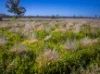 Sandy Camp Road, Quambone, NSW 2831-Image