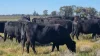 Sandy Camp Road, Quambone, NSW 2831-Image