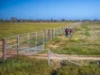 Sandy Camp Road, Quambone, NSW 2831-Image