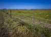 Sandy Camp Road, Quambone, NSW 2831-Image
