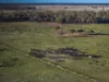 Sandy Camp Road, Quambone, NSW 2831-Image