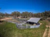 Sandy Camp Road, Quambone, NSW 2831-Image