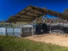 Sandy Camp Road, Quambone, NSW 2831-Image