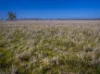 Sandy Camp Road, Quambone, NSW 2831-Image