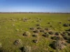 Sandy Camp Road, Quambone, NSW 2831-Image