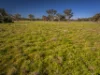 Sandy Camp Road, Quambone, NSW 2831-Image