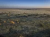 Sandy Camp Road, Quambone, NSW 2831-Image