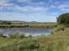 Sec 51 Lancelot Road, Peterborough, SA 5422-Image
