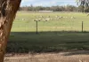 'Selbit', 83 Four Post Road, Deniliquin, NSW 2710-Image