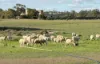 'Selbit',/83 Four Post Road, Deniliquin NSW 2710-Image