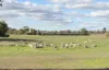 'Selbit', 83 Four Post Road, Deniliquin, NSW 2710-Image