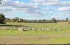 'Selbit',/83 Four Post Road, Deniliquin NSW 2710-Image