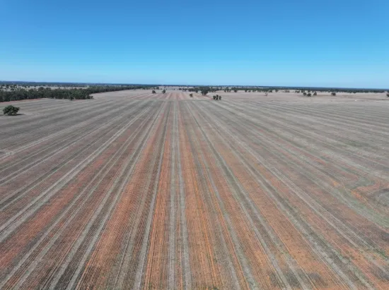 Shannonvale & Elmore Strontian Road, Boree Creek, NSW 2652