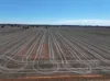Shannonvale & Elmore Strontian Road, Boree Creek, NSW 2652-Image
