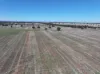 Shannonvale & Elmore Strontian Road, Boree Creek, NSW 2652-Image