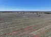 Shannonvale & Elmore Strontian Road, Boree Creek, NSW 2652-Image