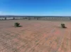 Shannonvale & Elmore Strontian Road, Boree Creek, NSW 2652-Image