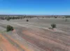 Shannonvale & Elmore Strontian Road, Boree Creek, NSW 2652-Image