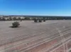 Shannonvale & Elmore Strontian Road, Boree Creek, NSW 2652-Image