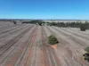 Shannonvale & Elmore Strontian Road, Boree Creek, NSW 2652-Image