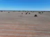 Shannonvale & Elmore Strontian Road, Boree Creek, NSW 2652-Image