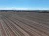 Shannonvale & Elmore Strontian Road, Boree Creek, NSW 2652-Image