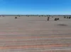 Shannonvale & Elmore Strontian Road, Boree Creek, NSW 2652-Image