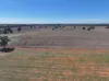 Shannonvale & Elmore Strontian Road, Boree Creek, NSW 2652-Image