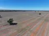 Shannonvale & Elmore Strontian Road, Boree Creek, NSW 2652-Image